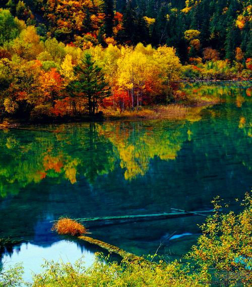 2012四川最受欢迎旅游景区10强 四川省十大最受欢迎旅游景点