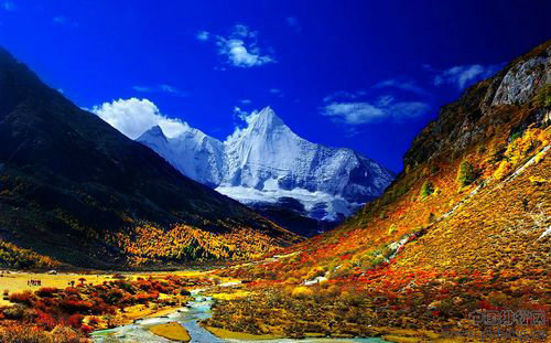 2012四川最受欢迎旅游景区10强 四川省十大最受欢迎旅游景点