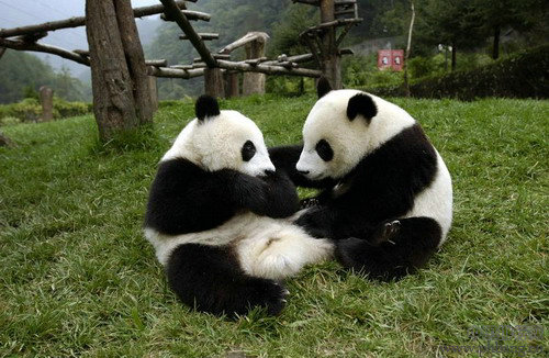 2012四川最受欢迎旅游景区10强 四川省十大最受欢迎旅游景点