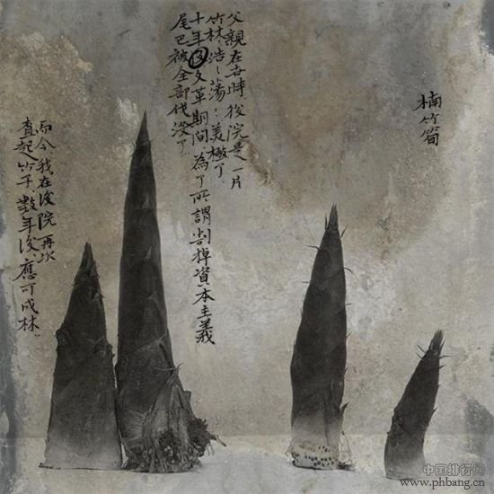 《梦溪II》(系列) 作者:魏壁 2014第二届中国摄影年度排行榜评审结果排名