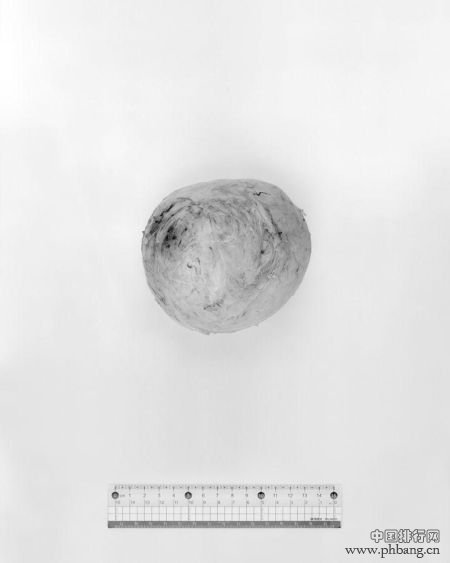 《大体》(系列) 作者:李朝晖 2014第二届中国摄影年度排行榜评审结果排名