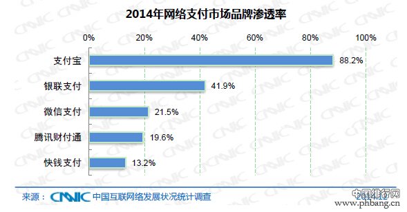 2014年网上支付市场用户渗透率品牌排名