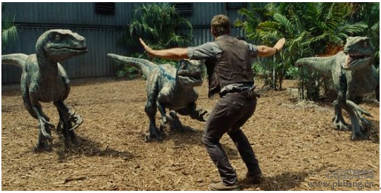 2015年上半年中国市场票房收入前10名进口影片