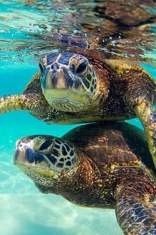 2017年1月最适合去哪儿?最佳境外目的地榜单