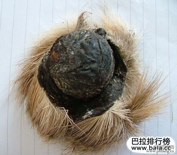 世界最贵中药材,中医十大名贵药材排名榜