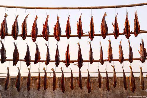 方便带走的顺德特产_顺德哪些特产可长途携带