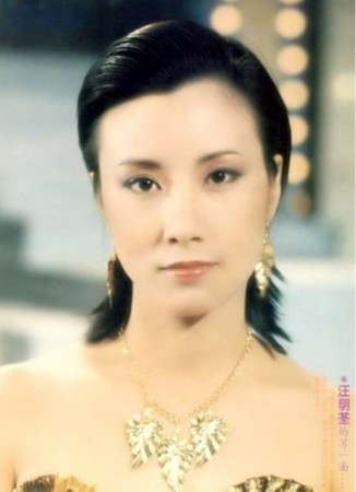 香港十大绝代电视女星