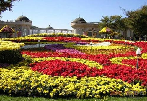 上海迪士尼开始营业了吗?看看全球十大主题乐园有哪些