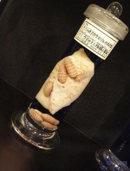 世界10大最吓人博物馆 胆小者勿入