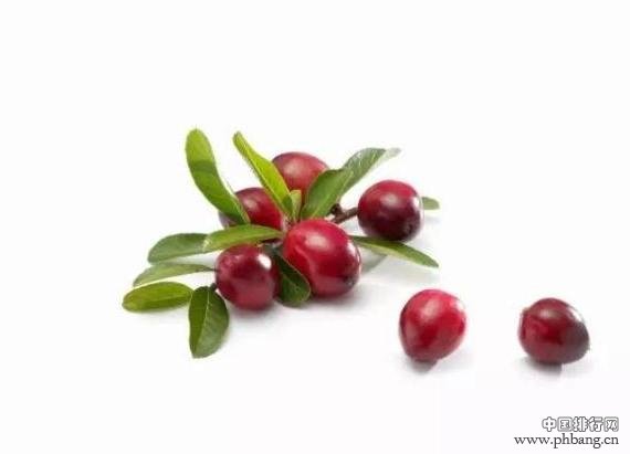 世界公认的十大健康水果