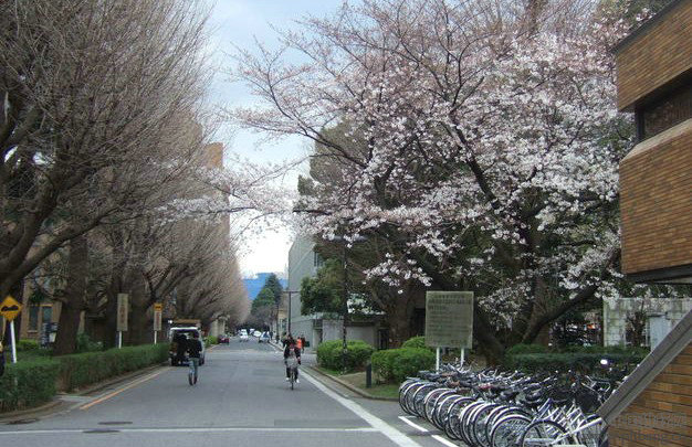2013年日本各高校大学最新排名