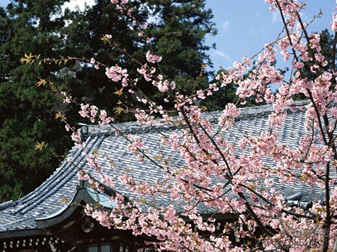 2013全球最佳宜居城市排行