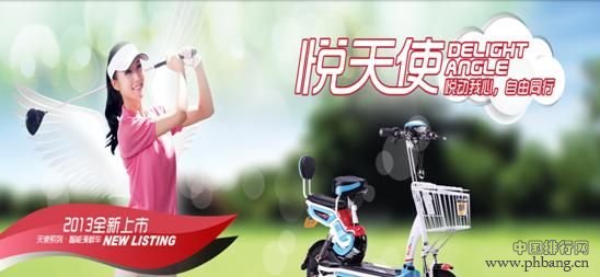 电动自行车排名_2013-2014年电动自行车十大品牌排行