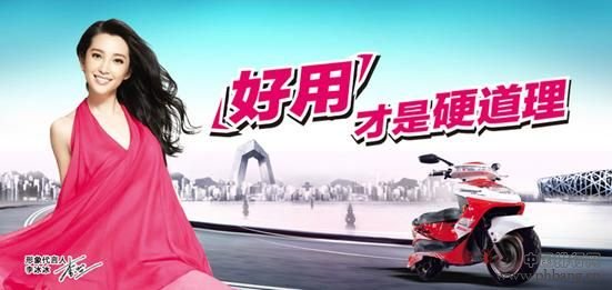 电动自行车排名_2013-2014年电动自行车十大品牌排行