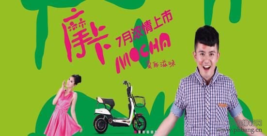 电动自行车排名_2013-2014年电动自行车十大品牌排行