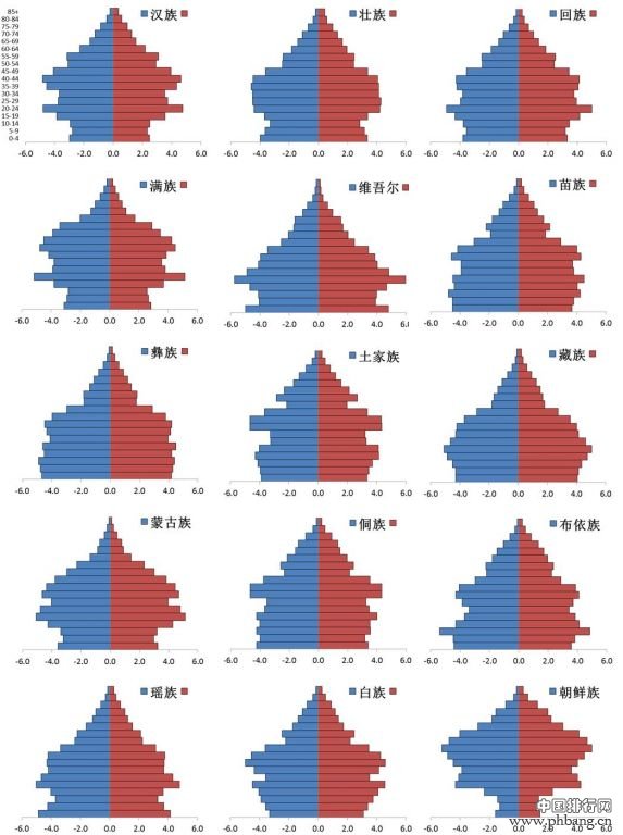 2010年全国人口普查各民族人口生育率数据