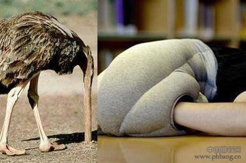 遇事就躲鸵鸟心态的怂货星座排行top5