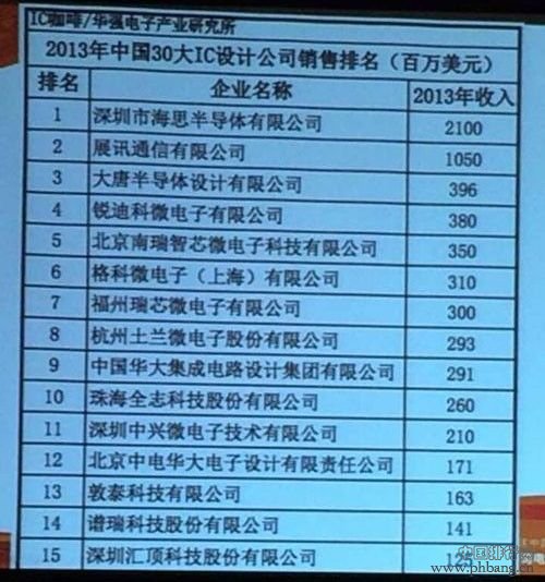2013年中国前30大IC厂商排行