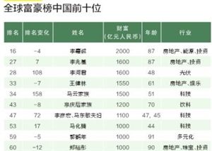 深圳富豪排名2015年_深圳谁最有钱？