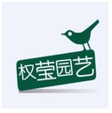上海绿植租摆十大品牌排行榜