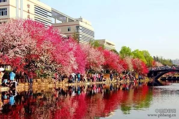 中国十大校花排行榜，美得合不拢腿！