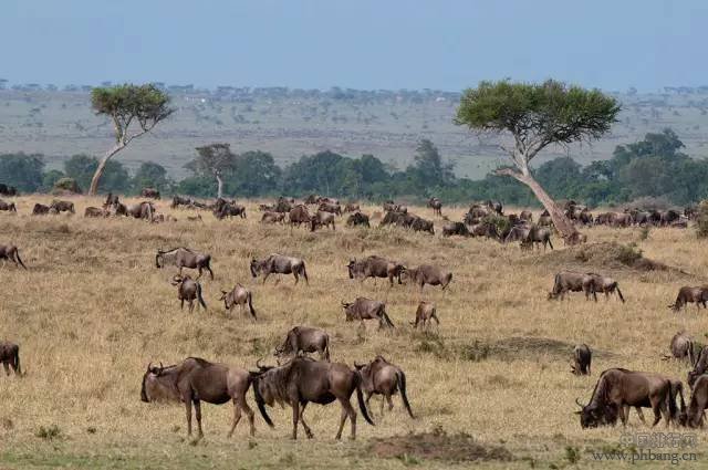 世界50大著名旅游景点，你去过几个？