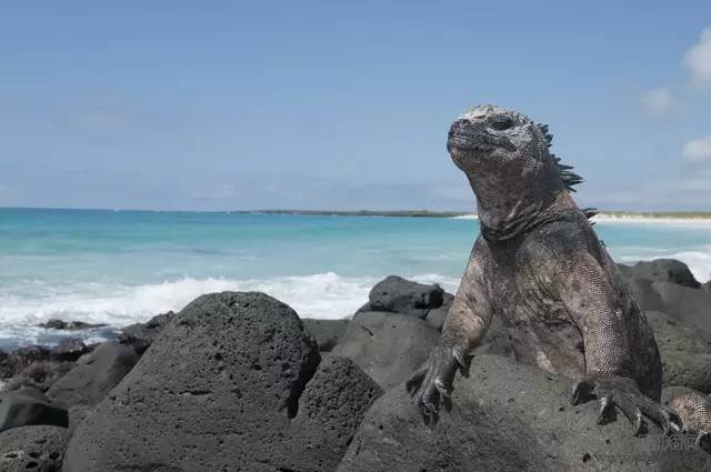 世界50大著名旅游景点，你去过几个？