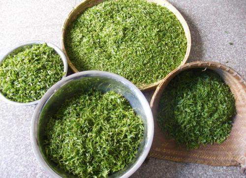 安徽合肥什么特产方便携带_合肥必买特产