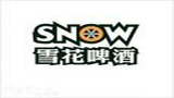 中国十佳啤酒品牌排名,十大中外啤酒知名品牌排