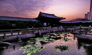 去香港旅游十个不可不去的小地方