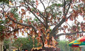 去香港旅游十个不可不去的小地方(2)