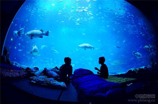 盘点世界十大最酷海底旅馆