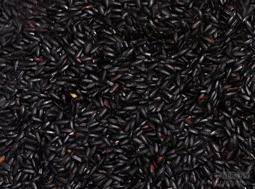 小编推荐 越黑越营养的10大食物