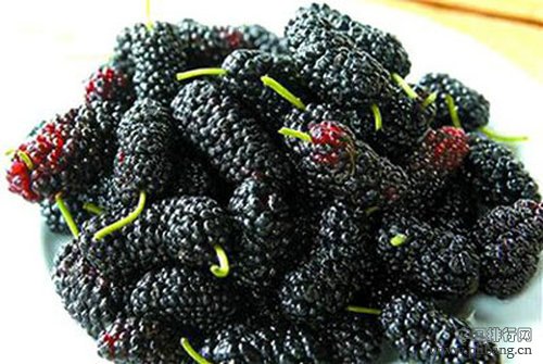 小编推荐 越黑越营养的10大食物