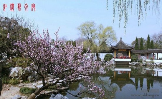 盘点中国最美的十大梅花园