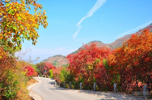 中国最美的十大秋色秋景观赏地排名
