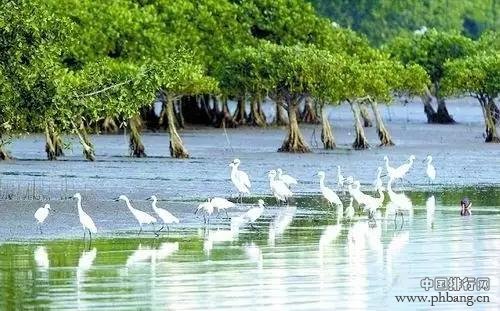 中国十大最美湿地 说旅行走就走！