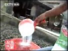 地都镇邹堂梨
