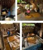 高垌马水橘