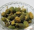 新疆野西瓜